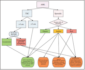 Evidence-based protocol-led management of renal angiomyolipoma: A review of literature